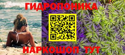 сатива Заводоуковск