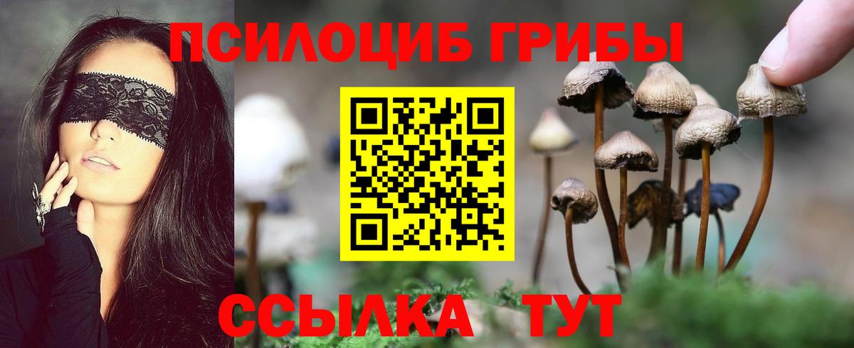 Галлюциногенные грибы мухоморы Мыски